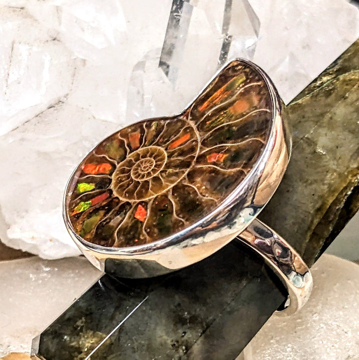 Ammonite with Ammolite inlay - Floating Lotus