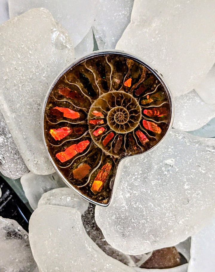 Ammonite with Ammolite inlay - Floating Lotus