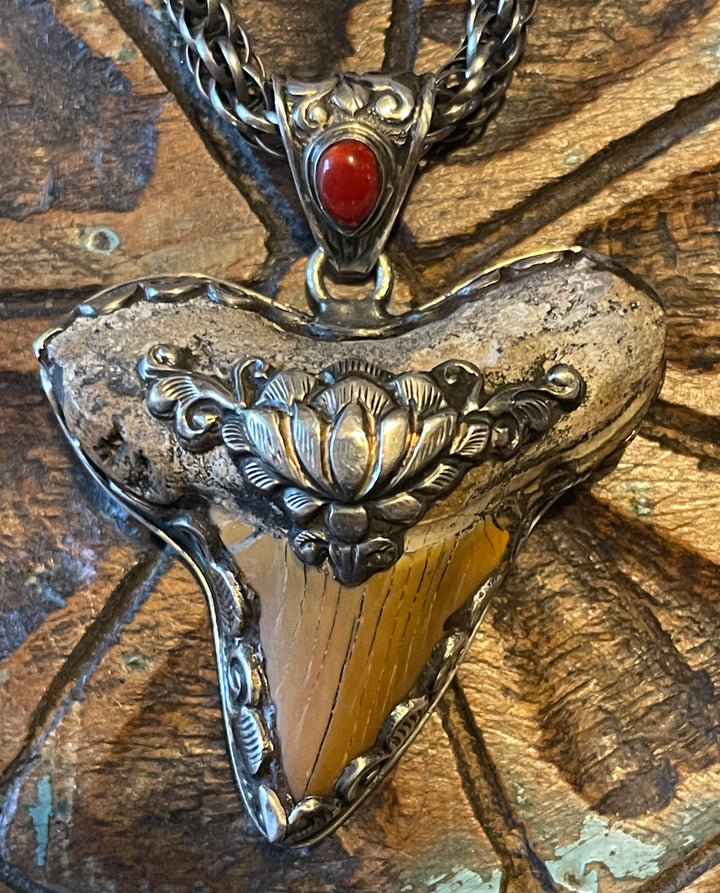 Megalodon Tooth Pendant