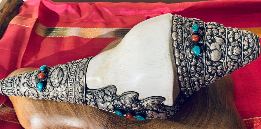 Tibetan Conch Shell Horn